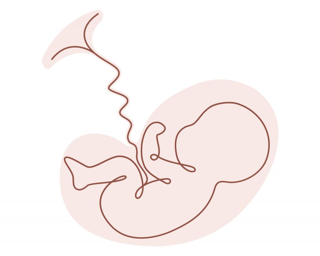 Bild zum Thema Geburt, stilisiertes Baby im Line-Art Stil